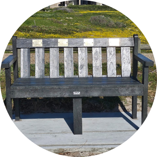Memorial Benches